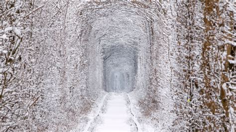 Winter Tunnel Image Abyss