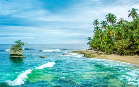 Costa Rica Wild Caribbean Beach In Manzanillo Sandy Beach Ocean Waves