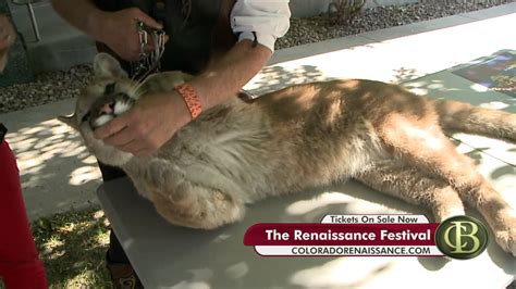 Renaissance Festival Kicks Off This Weekend Fox31 Denver