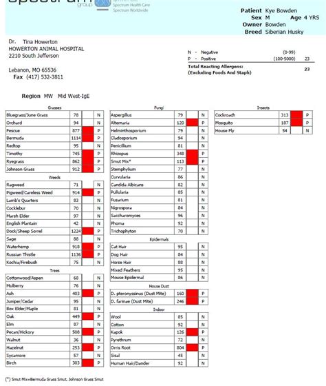 Allergy Blood Test Results Chart