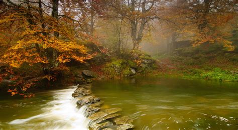 Nature Fall Leaves Water Trees Plants Outdoors River 3760x2066