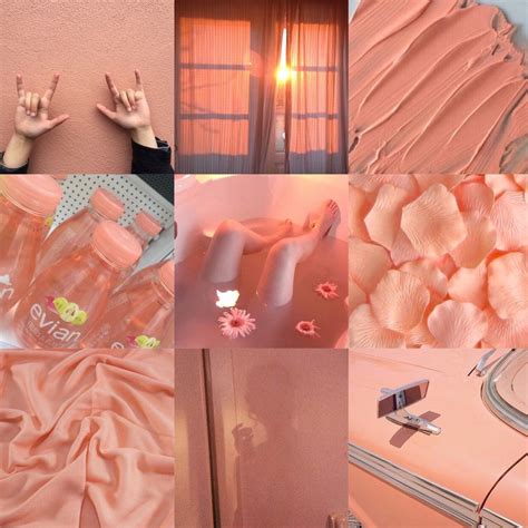 Find and save images from the peachy aesthetic collection by just peachy (peachyguide) on we heart it, your everyday app to get lost in what you love. peach aesthetic tumblr - Image by Sofia•the•last