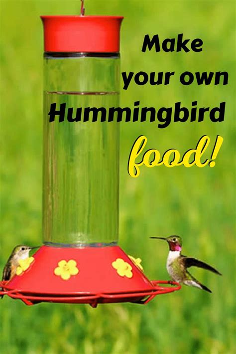 Place in a clean hummingbird feeder and hang outside for the birds. Make your own hummingbird food to attract these amazing ...