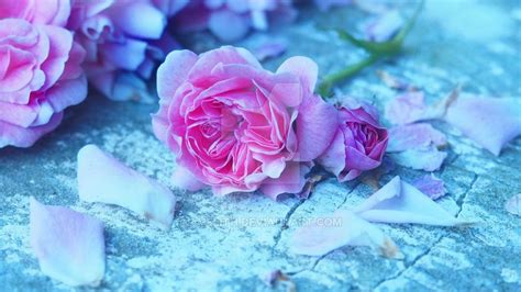 Daily additions of new, awesome, hd aesthetic wallpapers for desktop and phones. Soft angelic glow. Pink, teal, pastel flower aesthetic ...