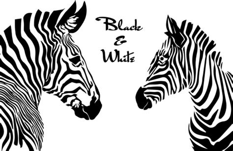 Black And White Vector Art Free At Collection Of