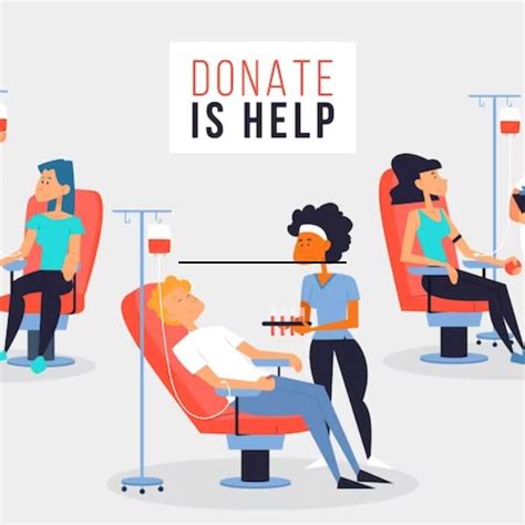 How To Organise A Blood Donation Camp Process Writing Flash Education