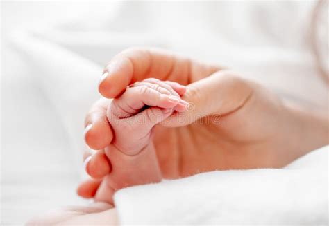 Mother Holding Newborn Baby Hand Stock Photo Image Of Support