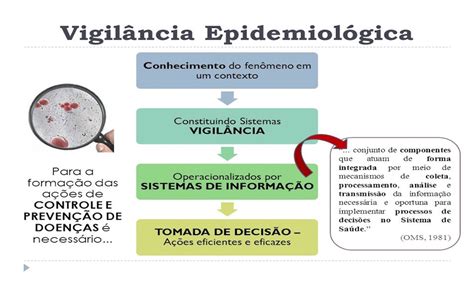 Vigilância Epidemiológica