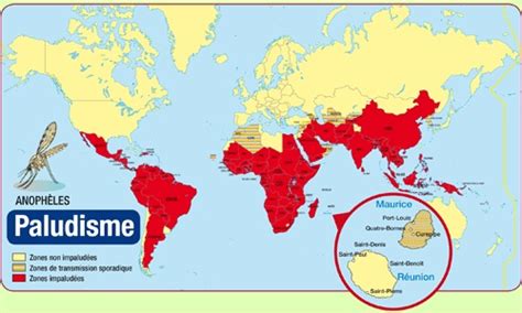 Dossier du site de paludisme site réalisé par les laboratoires de lhôpital royal de perth. paludisme Archives - La côte d'ivoire au jour le jour!