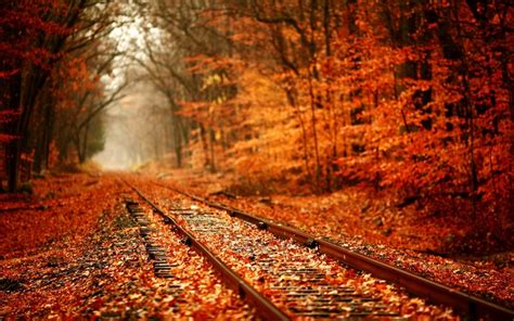 This tutorial will show you how to make a desktop background slideshow for windows 10. Autumn Windows 10 Theme - themepack.me