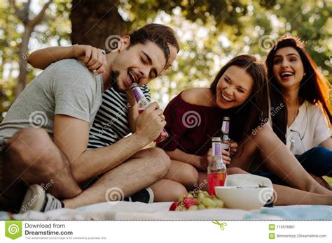 Друзья наслаждаясь пить на пикнике Стоковое Изображение изображение насчитывающей