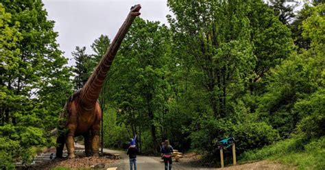 Dino Roar Valley And Magic Forest An Intimate Experience At Lake George