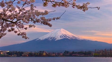Japan Mount Fuji Cherry Blossoms Wallpaper 1920x1080 311939