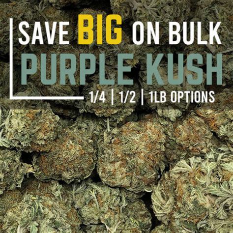 Buy Purple Kush Bulk In Bulk Online In Canada Pacific Grass