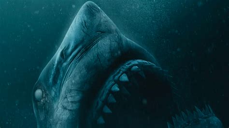 A group of backpackers diving in a ruined underwater city discover that they have stumbled into the territory of the ocean's deadliest shark species. Official '47 Meters Down: Uncaged' Poster Gives Homage to ...