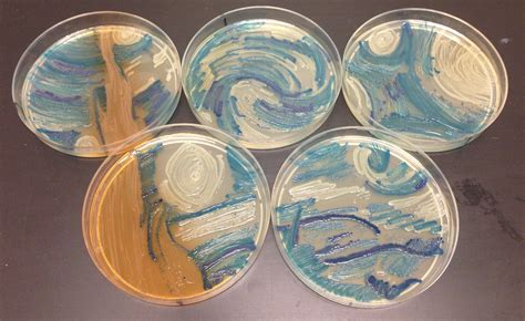 American Society For Microbiology 2015 Agar Art Contest The Shorty Awards