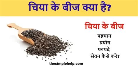 चिया के बीज क्या है उपयोग फायदे और नुकसान Chia Seeds In Hindi