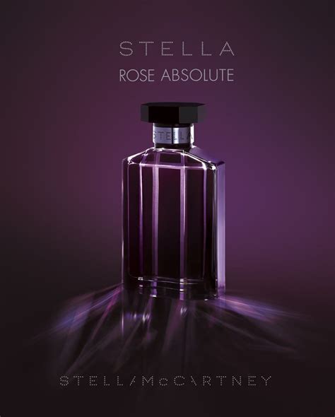 Stella McCartney Rose Absolute Perfume Photography Stella Perfume Perfume