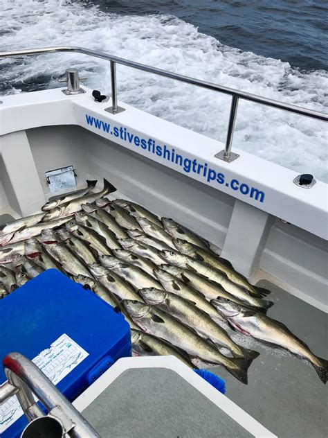 Mackerel Fishing Trip Bluefin Charters