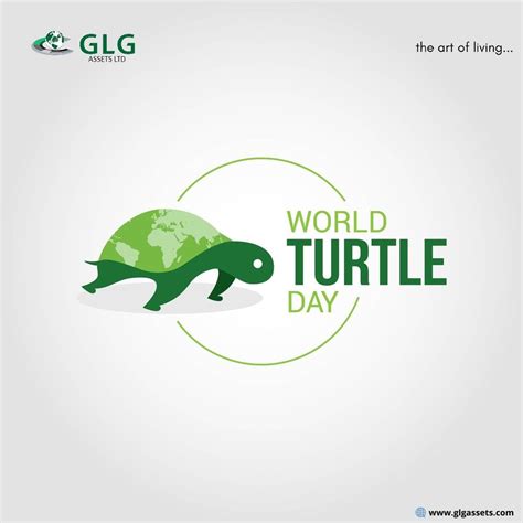 Happy World Turtle Day Saveouroceans Worldturtleday World Turtle Day