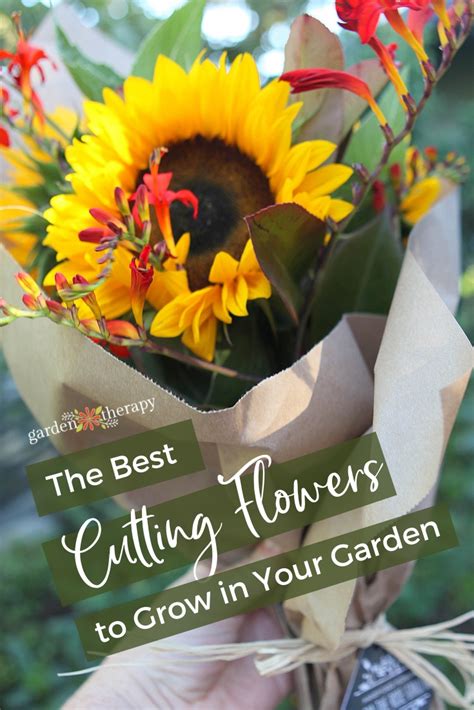Bouquet Gardens The Best Cutting Flowers Growing And Harvesting Tips