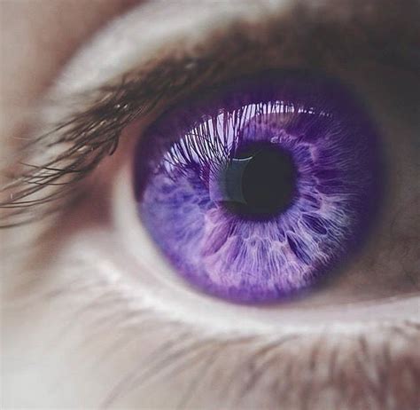 Purple Eye Purple Eyes Aesthetic Eyes Violet Eyes