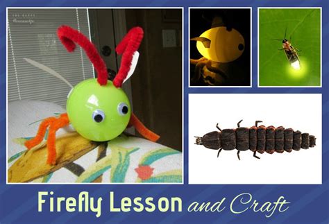 Firefly Facts And Craft The Happy Housewife Home Schooling