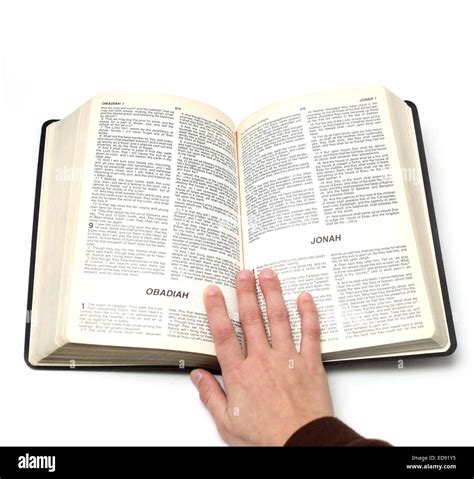 Open Bible On A White Background Stock Photo 77031113 Alamy