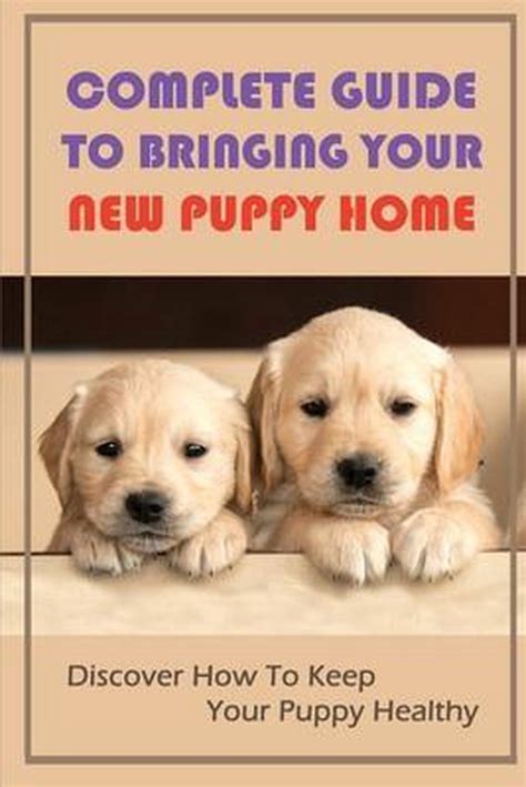 Complete Guide To Bringing Your New Puppy Home Discover How To Keep