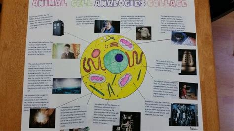 Check spelling or type a new query. Animal cell analogy collage (with Doctor Who - the cell ...