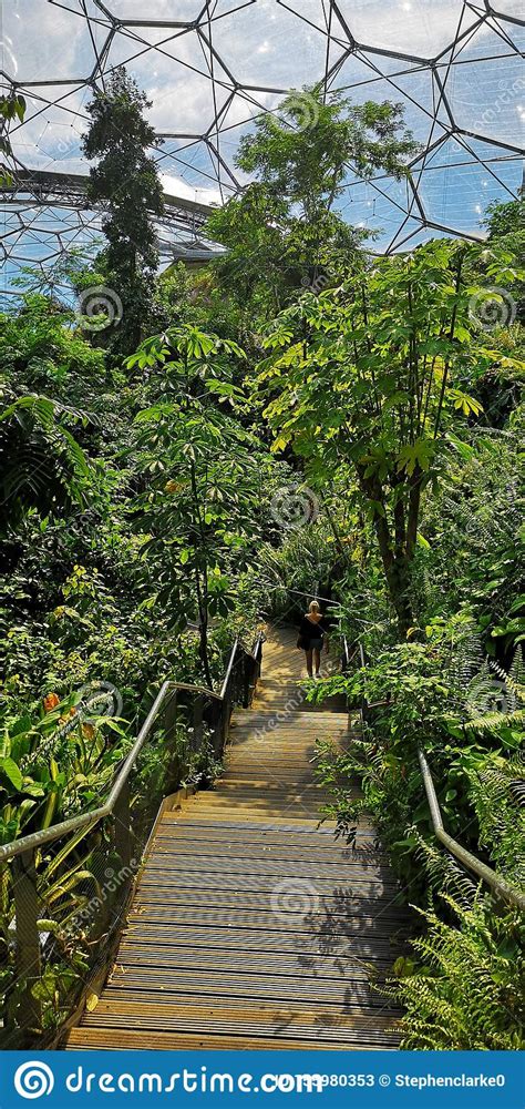See 12,281 reviews, articles, and 9 are dogs allowed inside eden project?. Inside Biosphere At Eden Project Stock Image - Image of ...