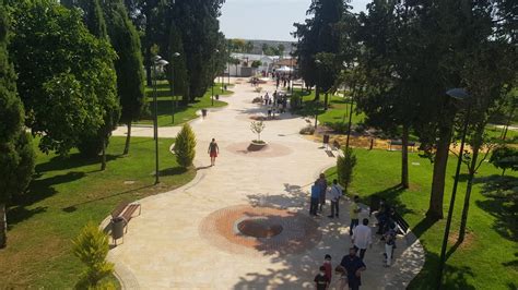 Simple Science: How to Make a Volcano with Kids