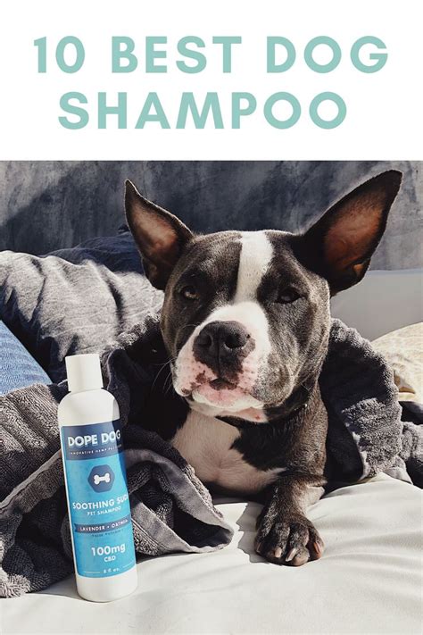 10 Best Dog Shampoo Brands Of 2020 Dog Shampoo Best Dog Shampoo Pet