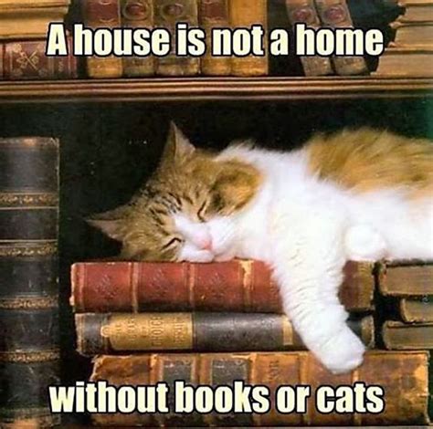 A House Is Not A Home Cat Quotes Cats Cat Books