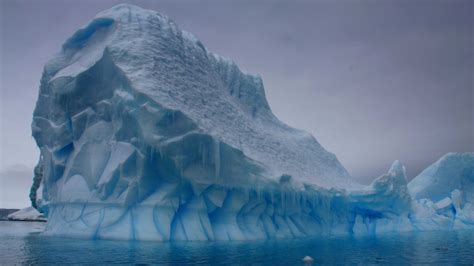 Lab tests predict growth of microscopic Antarctic phytoplankton 'will