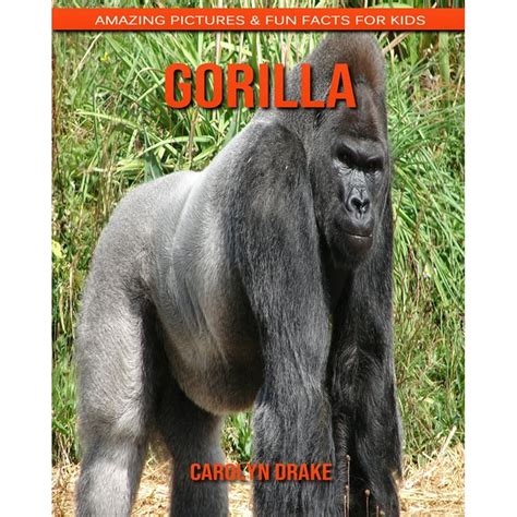 Gorilla Amazing Pictures And Fun Facts For Kids