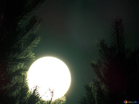 Big Round Bright Moon Free Image № 24187