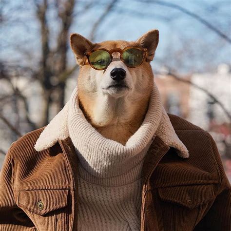 Menswear Dog Reveals The Secrets To His Impeccable Style In New Video