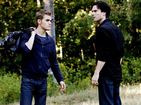 Damonandstefan Damon And Stefan Salvatore Wallpaper 24876125 Fanpop