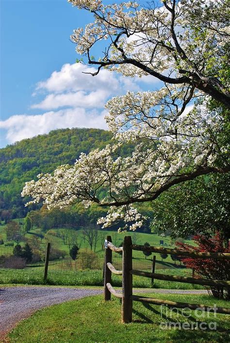 Best 25 Country Scenes Ideas On Pinterest Farm Pictures