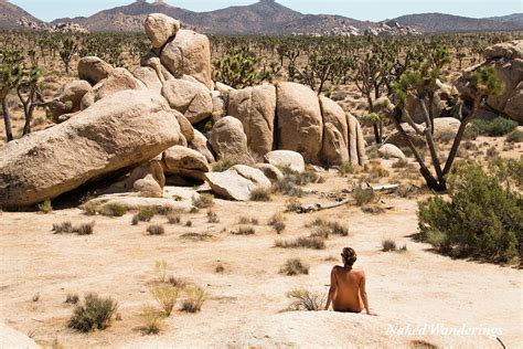 Naked Woman In Joshua Tree National Park Photograph By Nick And Lins