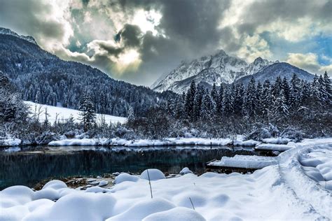 All You Need To Know To Visit The Zelenci Nature Reserve In Slovenia