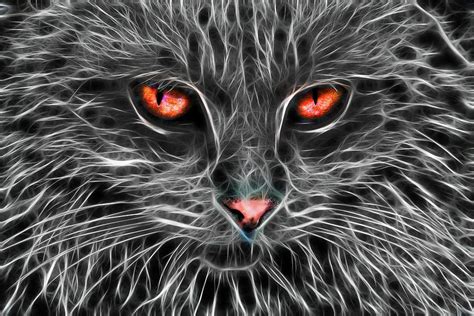 Evil Fractalius Kitty Digital Art By Lynnette Larubina Pixels