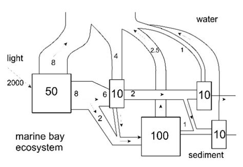 A A Universal Energy Diagram According To Ep Odum 169 2 The