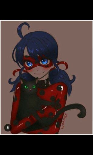 Ladybug E Cat Noar Wiki Miraculous Love ️™ Amino