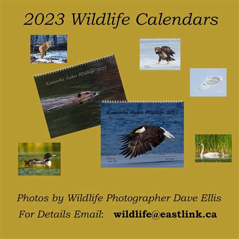 2023 Kawartha Lakes Wildlife Calendars make the perfect gift