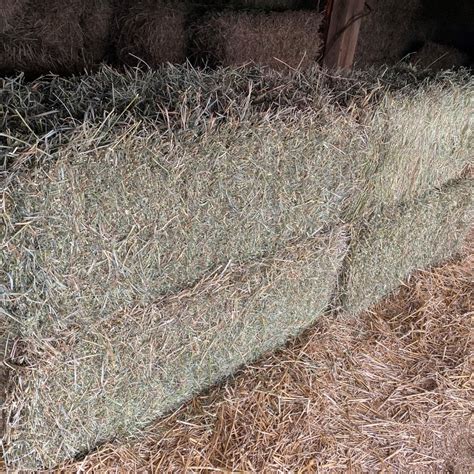 Alfalfa Grass Mix For Sale Allhaycom