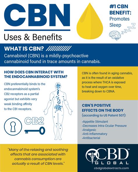 Cbn/cannabinol is a cannabinoid, which means it's one of the active ingredients in marijuana.these are the compounds that make marijuana behave the way it does inside the brain and body. Exploring CBN's Uses & Benefits | CBD Global, LLC
