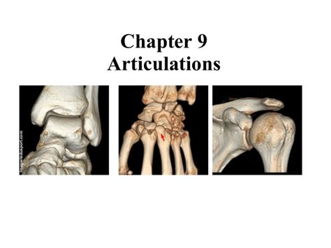 Define Articulation Anatomy