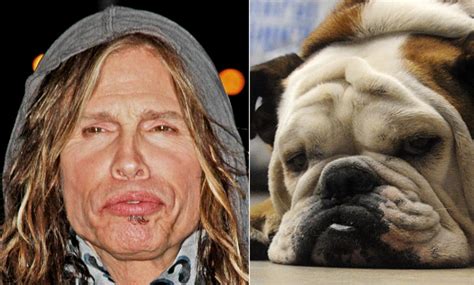 These Dogs Totally Look Like Hollywood Celebrities
